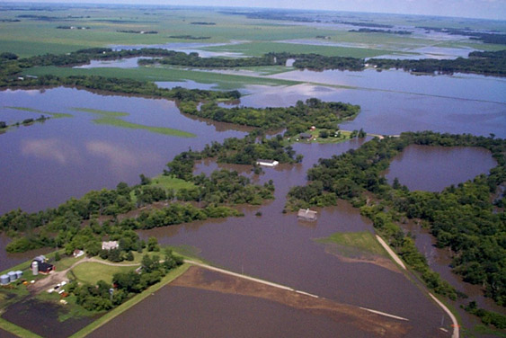 Common_Flooding_in_Lower_Wild_Rice_River_Area.jpg